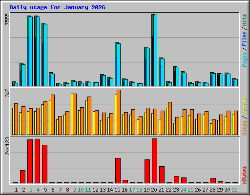 Daily usage for January 2026