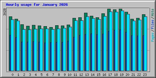Hourly usage for January 2026