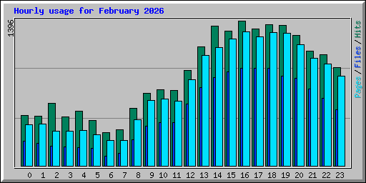 Hourly usage for February 2026